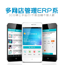 企业管理软件外包服务 个人VIP版本九品分级体系